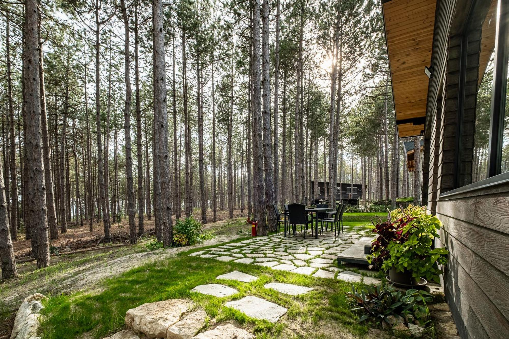 Forest House Vi *