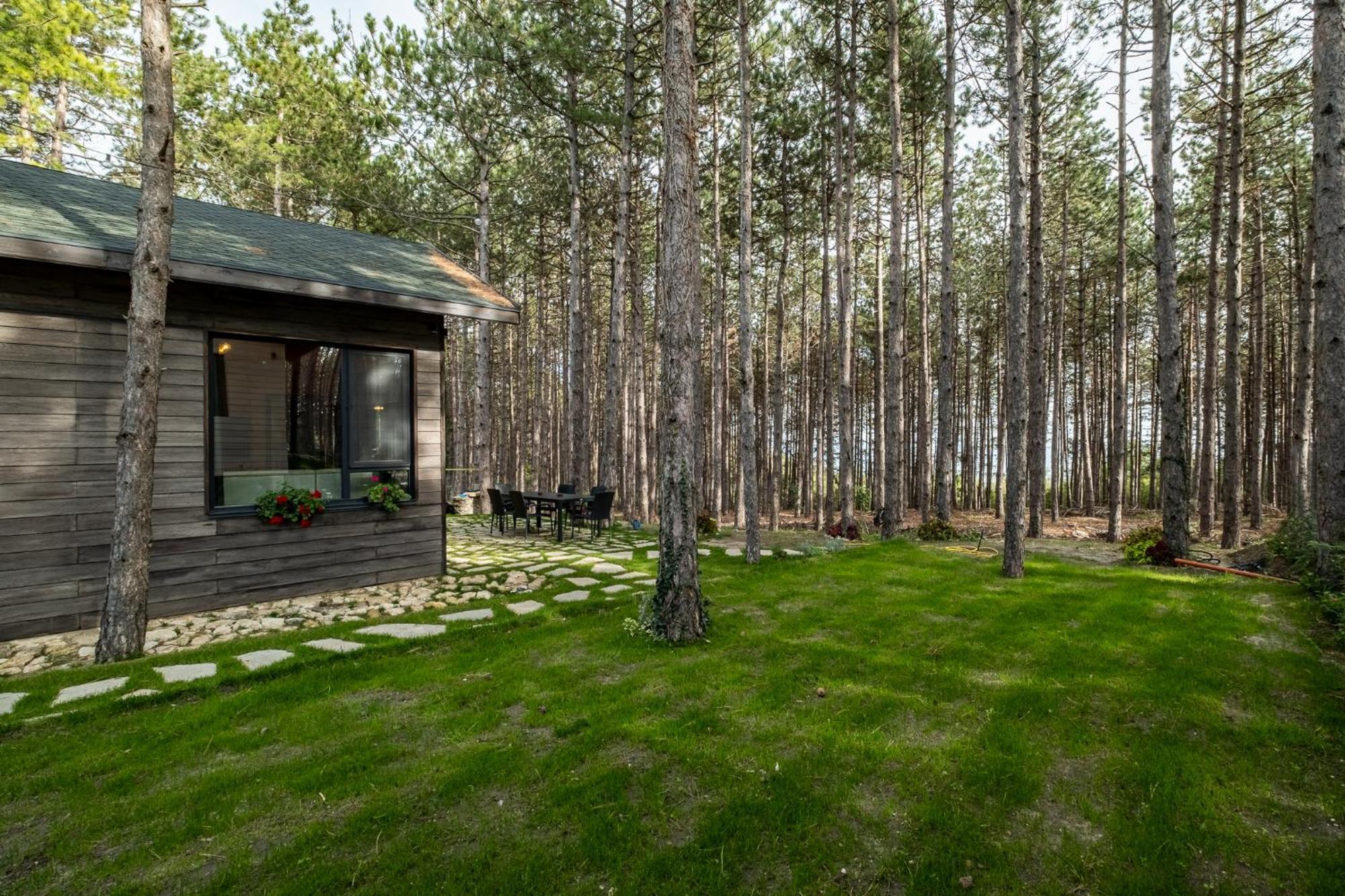 Forest House Vi Луксозна вила Варна