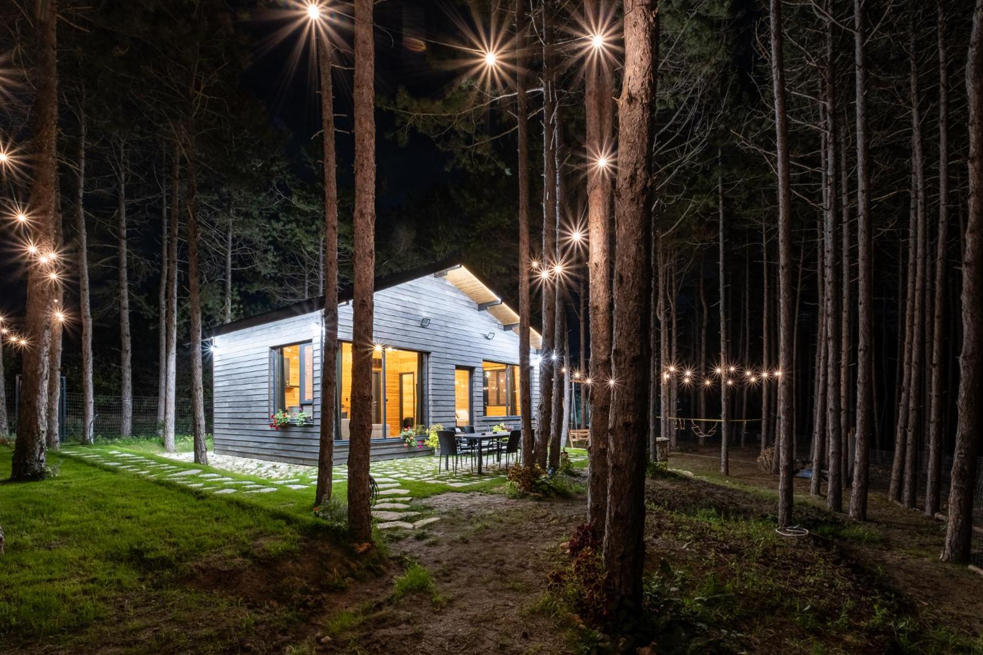 Луксозна вила Forest House Vi *